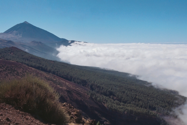 Mar de nubes - Corona forestal del Teide