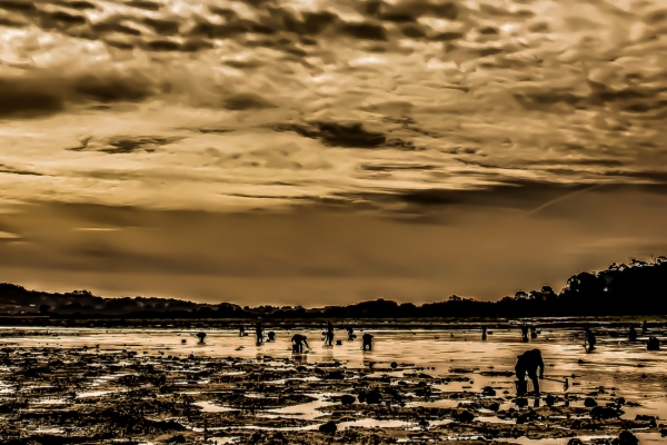 Belleza natural - Marisqueo en la Ría de Arousa