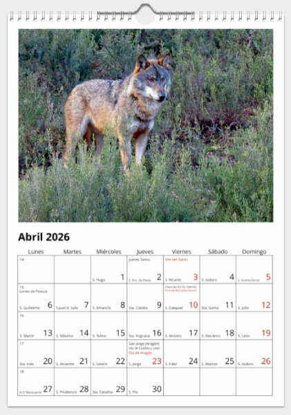 Calendario de pared doble A3 30x40 cm - COMPRANDO DOS LLÉVATELO POR SOLO 25,87 € - PASERIFORMES