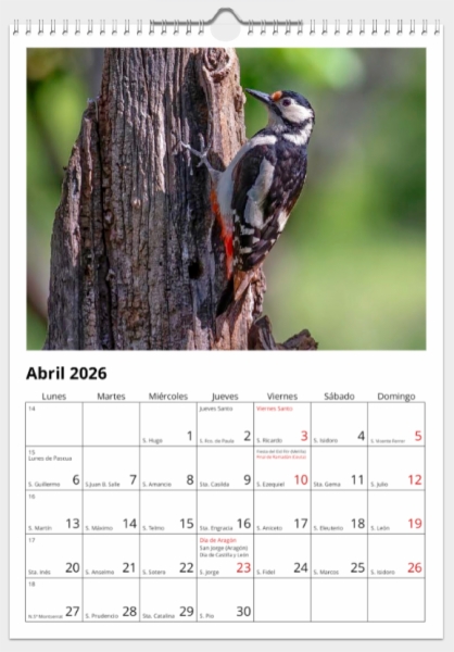 Calendario de pared doble A3 30x40 cm - COMPRANDO DOS LLÉVATELO POR SOLO 25,87 € - PASERIFORMES