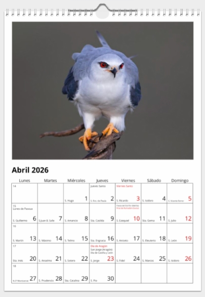 Calendario de pared doble A3 30x40 cm - COMPRANDO DOS LLÉVATELO POR SOLO 25,87 € - PASERIFORMES