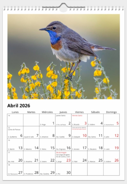 Calendario de pared doble A3 30x40 cm - COMPRANDO DOS LLÉVATELO POR SOLO 25,87 € - PASERIFORMES