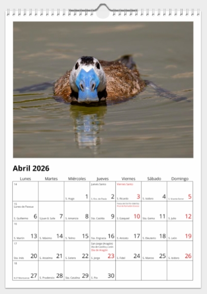 Calendario de pared doble A3 30x40 cm - COMPRANDO DOS LLÉVATELO POR SOLO 25,87 € - OTRAS AVES