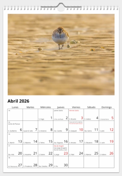 Calendario de pared doble A3 30x40 cm - COMPRANDO DOS LLÉVATELO POR SOLO 25,87 € - LIMÍCOLAS