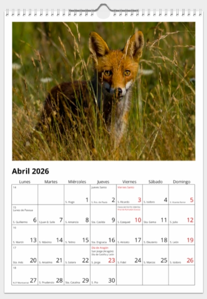 Calendario de pared doble A3 30x40 cm - COMPRANDO DOS LLÉVATELO POR SOLO 25,87 € - DIVERSOS - 1