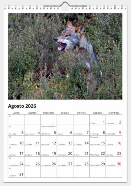 Calendario de pared doble A3 30x40 cm - COMPRANDO DOS LLÉVATELO POR SOLO 25,87 € - PASERIFORMES