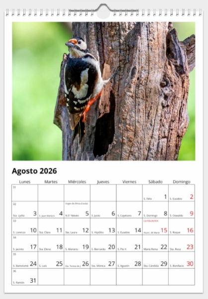 Calendario de pared doble A3 30x40 cm - COMPRANDO DOS LLÉVATELO POR SOLO 25,87 € - PASERIFORMES