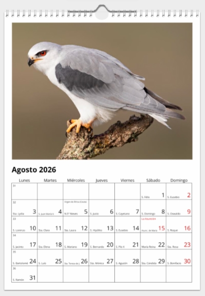 Calendario de pared doble A3 30x40 cm - COMPRANDO DOS LLÉVATELO POR SOLO 25,87 € - PASERIFORMES