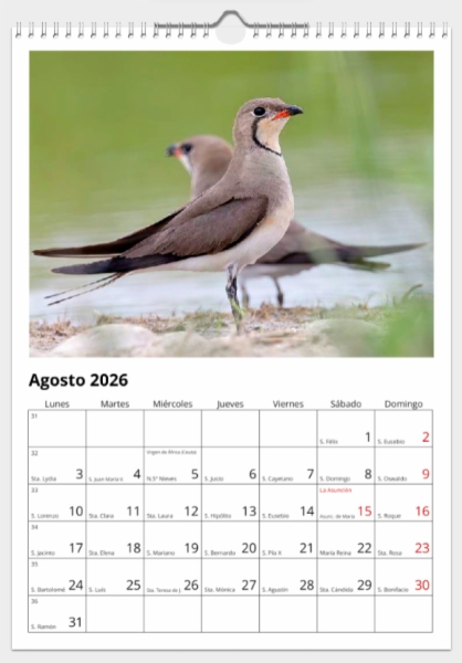 Calendario de pared doble A3 30x40 cm - COMPRANDO DOS LLÉVATELO POR SOLO 25,87 € - LIMÍCOLAS