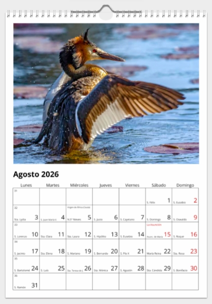 Calendario de pared doble A3 30x40 cm - COMPRANDO DOS LLÉVATELO POR SOLO 25,87 € - DIVERSOS - 1