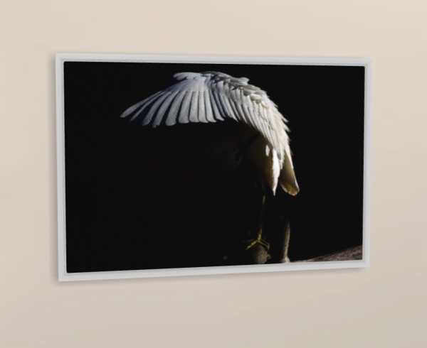 Calendario de pared doble A3 30x40 cm - COMPRANDO DOS LLÉVATELO POR SOLO 25,87 € - PASERIFORMES