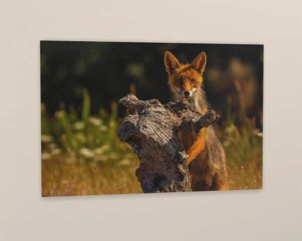 Calendario de pared doble A3 30x40 cm - COMPRANDO DOS LLÉVATELO POR SOLO 25,87 € - PASERIFORMES