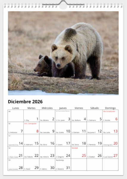 Calendario de pared doble A3 30x40 cm - COMPRANDO DOS LLÉVATELO POR SOLO 25,87 € - PASERIFORMES