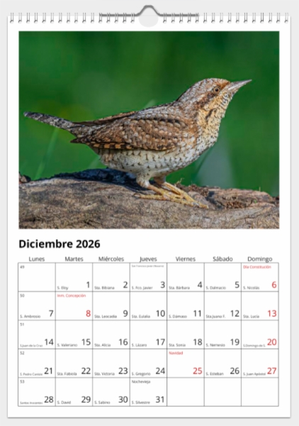 Calendario de pared doble A3 30x40 cm - COMPRANDO DOS LLÉVATELO POR SOLO 25,87 € - PASERIFORMES