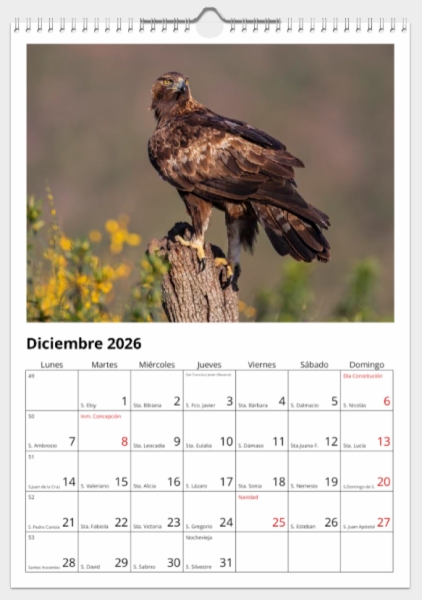 Calendario de pared doble A3 30x40 cm - COMPRANDO DOS LLÉVATELO POR SOLO 25,87 € - PASERIFORMES