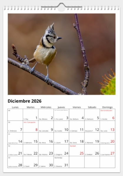 Calendario de pared doble A3 30x40 cm - COMPRANDO DOS LLÉVATELO POR SOLO 25,87 € - PASERIFORMES