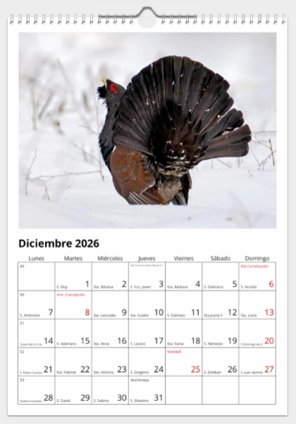 Calendario de pared doble A3 30x40 cm - COMPRANDO DOS LLÉVATELO POR SOLO 25,87 € - OTRAS AVES