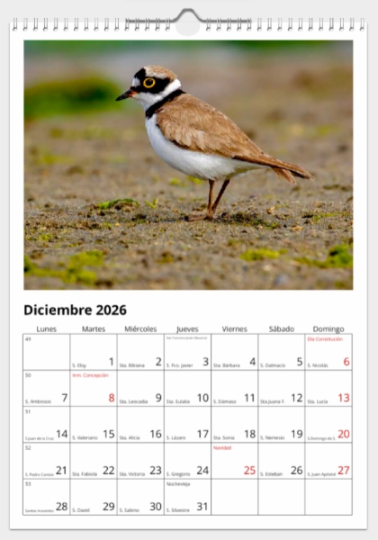 Calendario de pared doble A3 30x40 cm - COMPRANDO DOS LLÉVATELO POR SOLO 25,87 € - LIMÍCOLAS