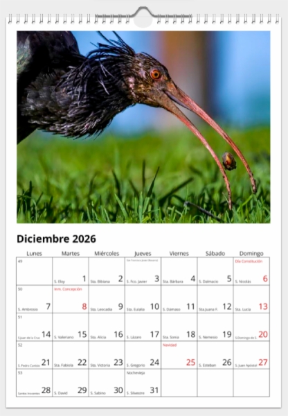 Calendario de pared doble A3 30x40 cm - COMPRANDO DOS LLÉVATELO POR SOLO 25,87 € - DIVERSOS - 1