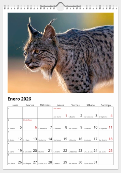 Calendario de pared doble A3 30x40 cm - COMPRANDO DOS LLÉVATELO POR SOLO 25,87 € - PASERIFORMES
