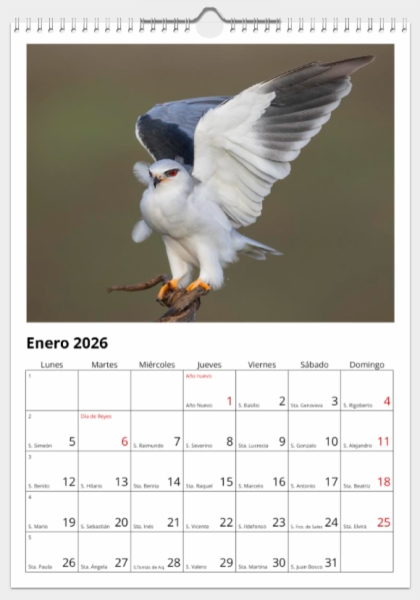 Calendario de pared doble A3 30x40 cm - COMPRANDO DOS LLÉVATELO POR SOLO 25,87 € - PASERIFORMES