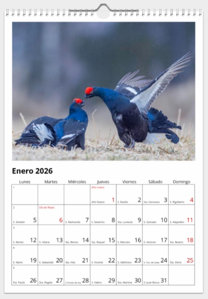 Calendario de pared doble A3 30x40 cm - COMPRANDO DOS LLÉVATELO POR SOLO 25,87 € - OTRAS AVES