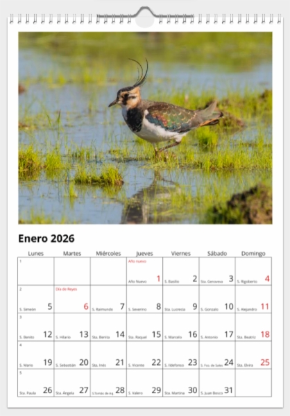 Calendario de pared doble A3 30x40 cm - COMPRANDO DOS LLÉVATELO POR SOLO 25,87 € - LIMÍCOLAS