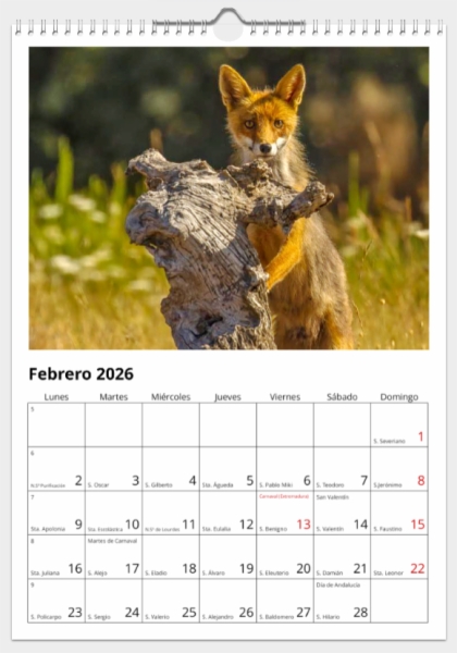 Calendario de pared doble A3 30x40 cm - COMPRANDO DOS LLÉVATELO POR SOLO 25,87 € - PASERIFORMES