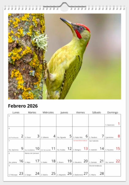 Calendario de pared doble A3 30x40 cm - COMPRANDO DOS LLÉVATELO POR SOLO 25,87 € - PASERIFORMES