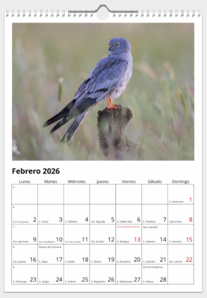 Calendario de pared doble A3 30x40 cm - COMPRANDO DOS LLÉVATELO POR SOLO 25,87 € - PASERIFORMES