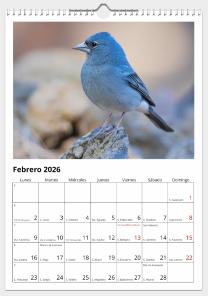 Calendario de pared doble A3 30x40 cm - COMPRANDO DOS LLÉVATELO POR SOLO 25,87 € - PASERIFORMES