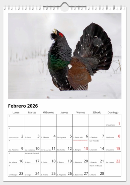 Calendario de pared doble A3 30x40 cm - COMPRANDO DOS LLÉVATELO POR SOLO 25,87 € - OTRAS AVES