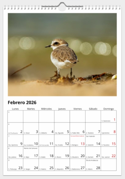 Calendario de pared doble A3 30x40 cm - COMPRANDO DOS LLÉVATELO POR SOLO 25,87 € - LIMÍCOLAS