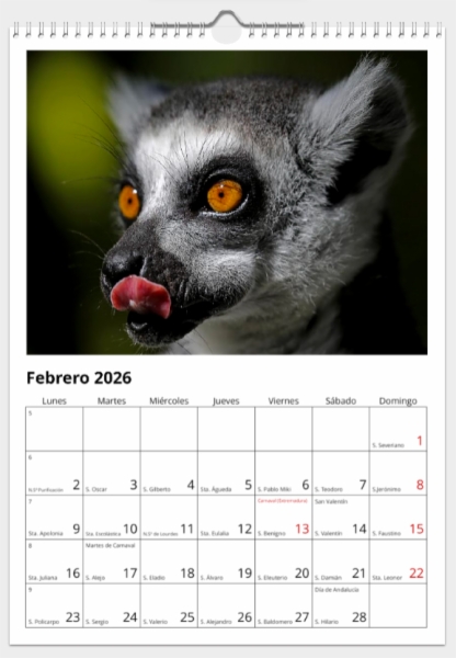 Calendario de pared doble A3 30x40 cm - COMPRANDO DOS LLÉVATELO POR SOLO 25,87 € - DIVERSOS - 1