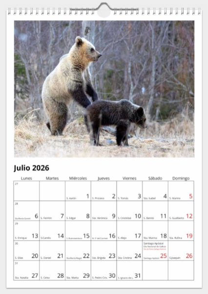 Calendario de pared doble A3 30x40 cm - COMPRANDO DOS LLÉVATELO POR SOLO 25,87 € - PASERIFORMES