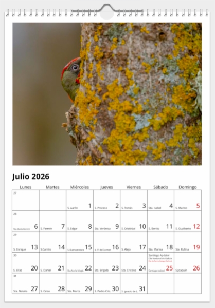 Calendario de pared doble A3 30x40 cm - COMPRANDO DOS LLÉVATELO POR SOLO 25,87 € - PASERIFORMES