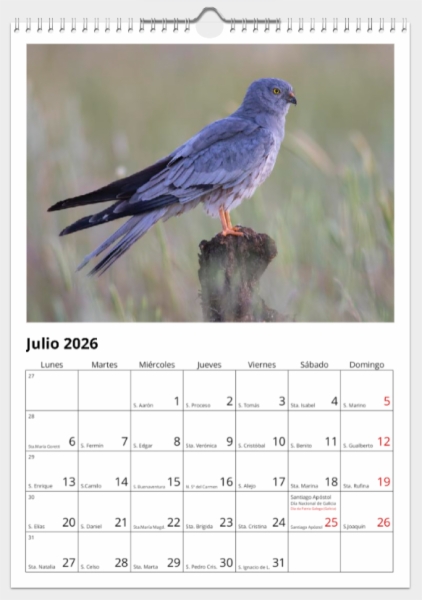 Calendario de pared doble A3 30x40 cm - COMPRANDO DOS LLÉVATELO POR SOLO 25,87 € - PASERIFORMES