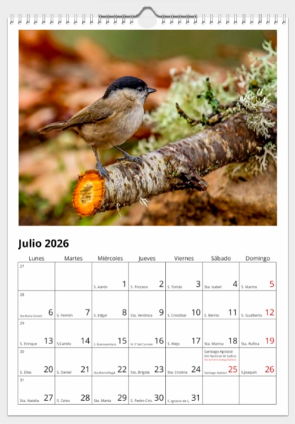 Calendario de pared doble A3 30x40 cm - COMPRANDO DOS LLÉVATELO POR SOLO 25,87 € - PASERIFORMES