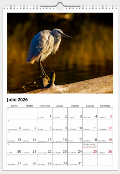 Calendario de pared doble A3 30x40 cm - COMPRANDO DOS LLÉVATELO POR SOLO 25,87 € - OTRAS AVES