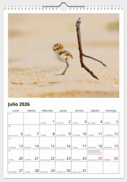 Calendario de pared doble A3 30x40 cm - COMPRANDO DOS LLÉVATELO POR SOLO 25,87 € - LIMÍCOLAS