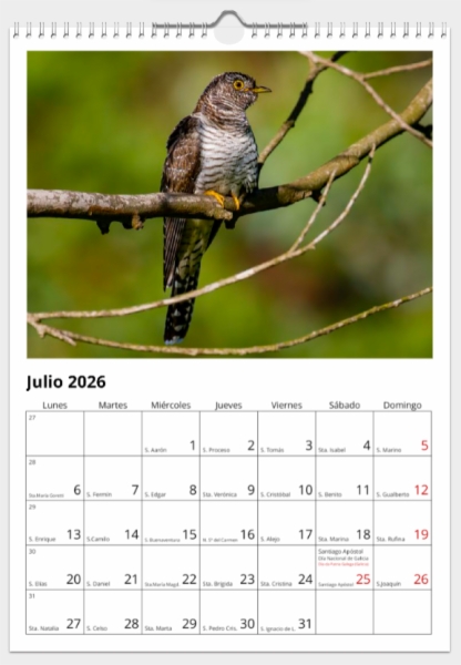 Calendario de pared doble A3 30x40 cm - COMPRANDO DOS LLÉVATELO POR SOLO 25,87 € - DIVERSOS - 1