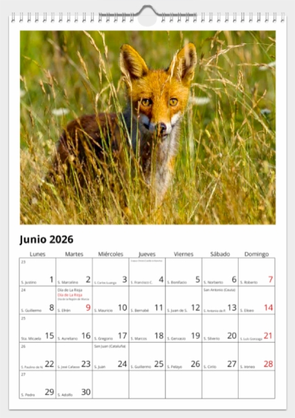 Calendario de pared doble A3 30x40 cm - COMPRANDO DOS LLÉVATELO POR SOLO 25,87 € - PASERIFORMES