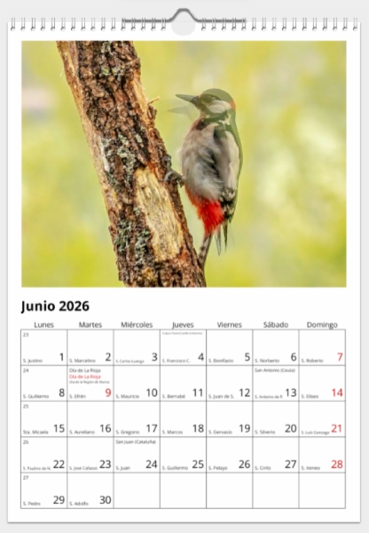 Calendario de pared doble A3 30x40 cm - COMPRANDO DOS LLÉVATELO POR SOLO 25,87 € - PASERIFORMES