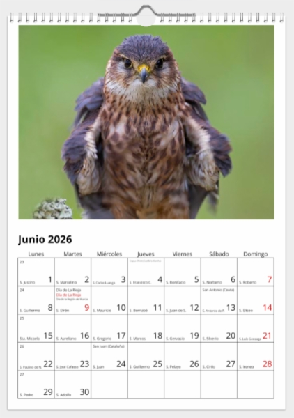 Calendario de pared doble A3 30x40 cm - COMPRANDO DOS LLÉVATELO POR SOLO 25,87 € - PASERIFORMES