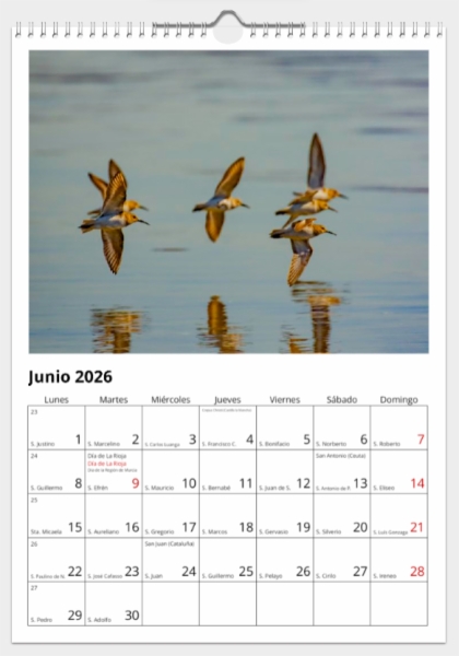 Calendario de pared doble A3 30x40 cm - COMPRANDO DOS LLÉVATELO POR SOLO 25,87 € - LIMÍCOLAS