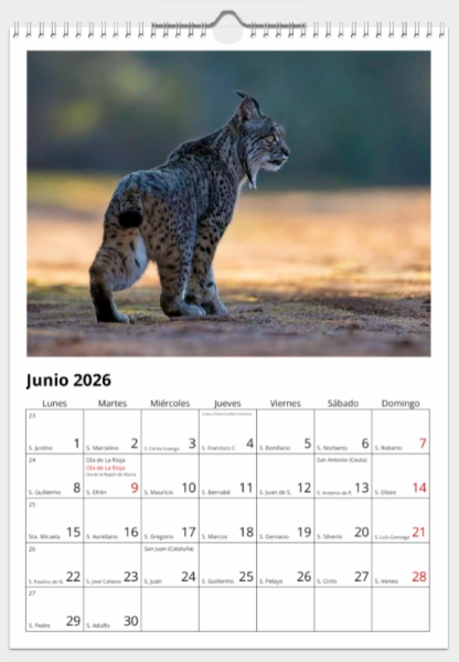 Calendario de pared doble A3 30x40 cm - COMPRANDO DOS LLÉVATELO POR SOLO 25,87 € - DIVERSOS - 1