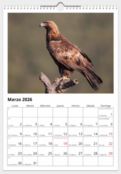 Calendario de pared doble A3 30x40 cm - COMPRANDO DOS LLÉVATELO POR SOLO 25,87 € - PASERIFORMES