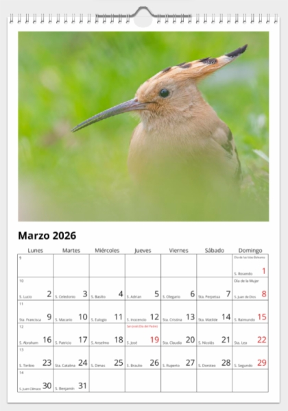 Calendario de pared doble A3 30x40 cm - COMPRANDO DOS LLÉVATELO POR SOLO 25,87 € - OTRAS AVES