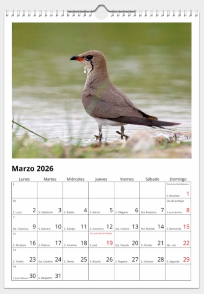 Calendario de pared doble A3 30x40 cm - COMPRANDO DOS LLÉVATELO POR SOLO 25,87 € - LIMÍCOLAS