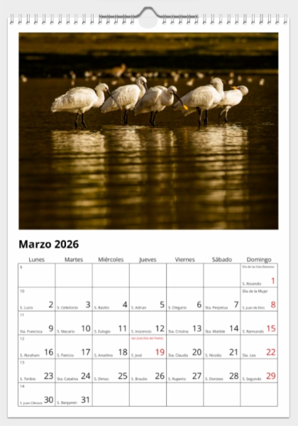 Calendario de pared doble A3 30x40 cm - COMPRANDO DOS LLÉVATELO POR SOLO 25,87 € - DIVERSOS - 1